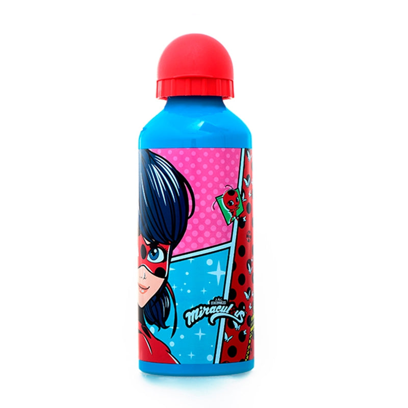 BOTELLA DE ALUMINIO 700 ML