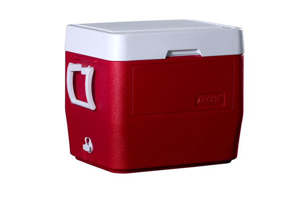 CAVA AMERICANA 34 QTS